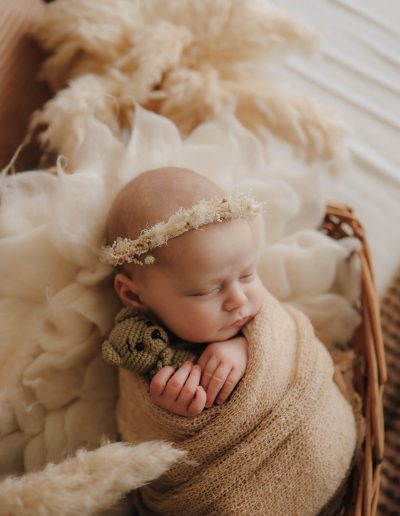 Gepucktes Baby mit Haarband und Bärchen mit Pampasgras